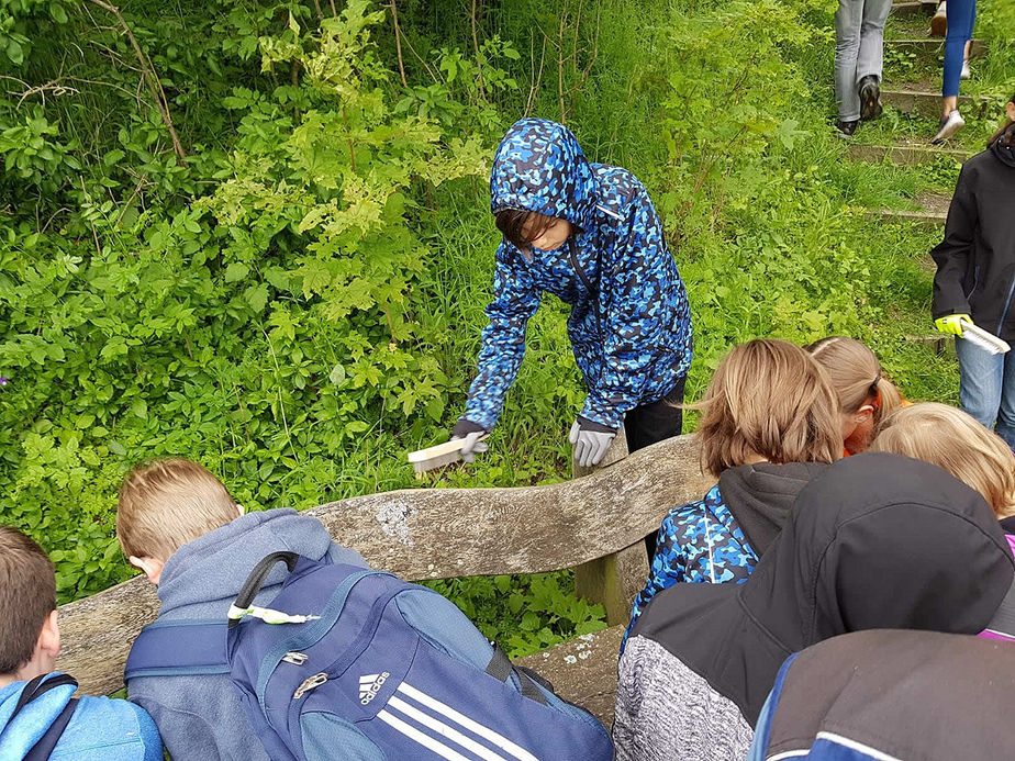 Arbeiten auf dem Hasunger Berg (Foto: Ilona Schmand)